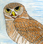 Burrowing owl