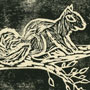 Squirrel print